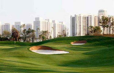 DLF The Camellias