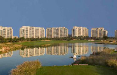 DLF The Camellias