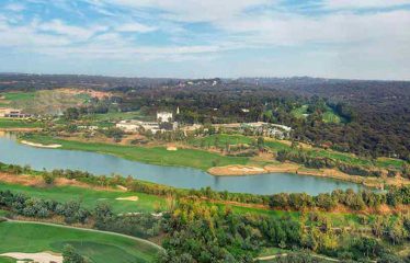 DLF The Camellias