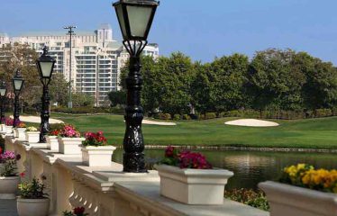 DLF The Camellias