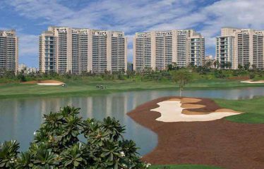 DLF The Camellias