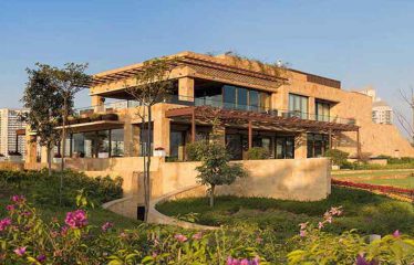 DLF The Camellias