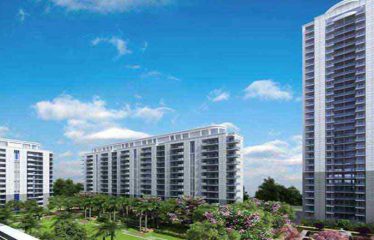 DLF The Ultima