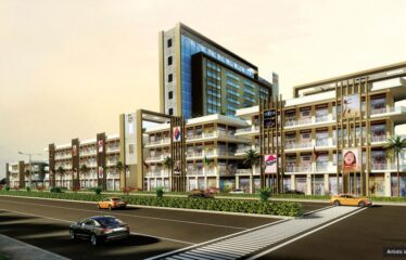 Orris Market City